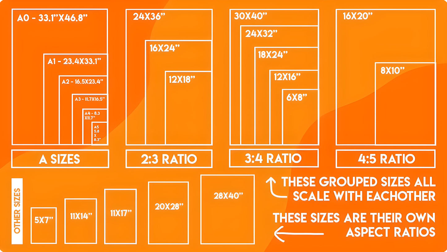 Illustration of various paper sizes and their ratios on an orange background