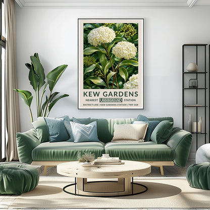 A vertical retro London Underground travel poster for Kew Gardens on a wide cream border. The top image shows a close-up, detailed botanical illustration of two large, round white hydrangea flower clusters surrounded by long, variegated green and white leaves and small green berries. The bottom cream border features the text "KEW GARDENS" in dark green, followed by "NEAREST UNDERGROUND STATION" flanking an authentic boxed Underground logo