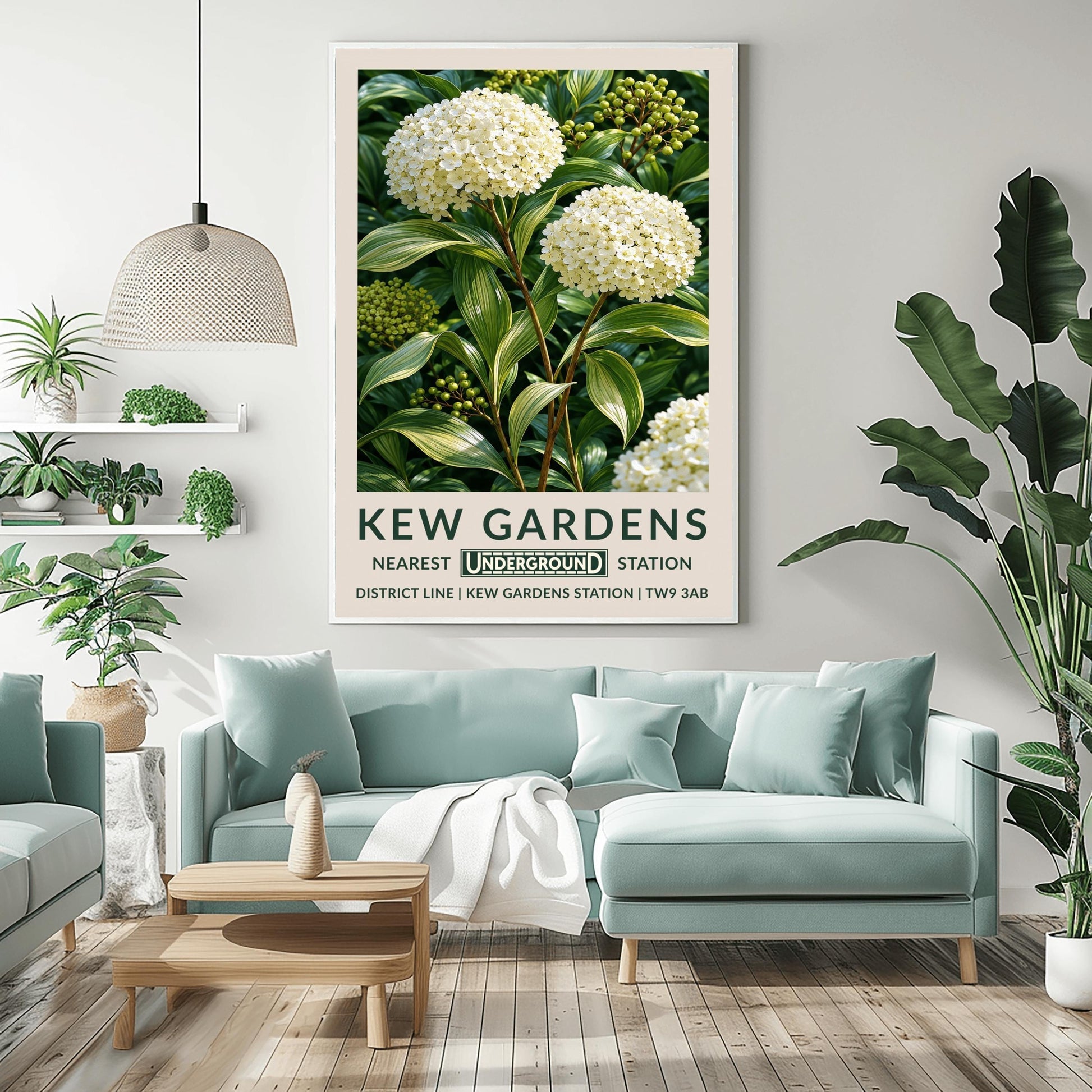 A vertical retro London Underground travel poster for Kew Gardens on a wide cream border. The top image shows a close-up, detailed botanical illustration of two large, round white hydrangea flower clusters surrounded by long, variegated green and white leaves and small green berries. The bottom cream border features the text "KEW GARDENS" in dark green, followed by "NEAREST UNDERGROUND STATION" flanking an authentic boxed Underground logo