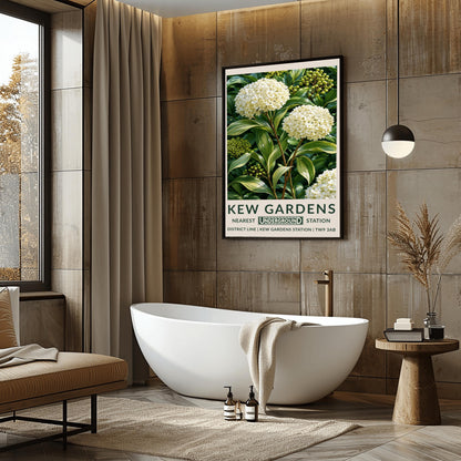 A vertical retro London Underground travel poster for Kew Gardens on a wide cream border. The top image shows a close-up, detailed botanical illustration of two large, round white hydrangea flower clusters surrounded by long, variegated green and white leaves and small green berries. The bottom cream border features the text "KEW GARDENS" in dark green, followed by "NEAREST UNDERGROUND STATION" flanking an authentic boxed Underground logo
