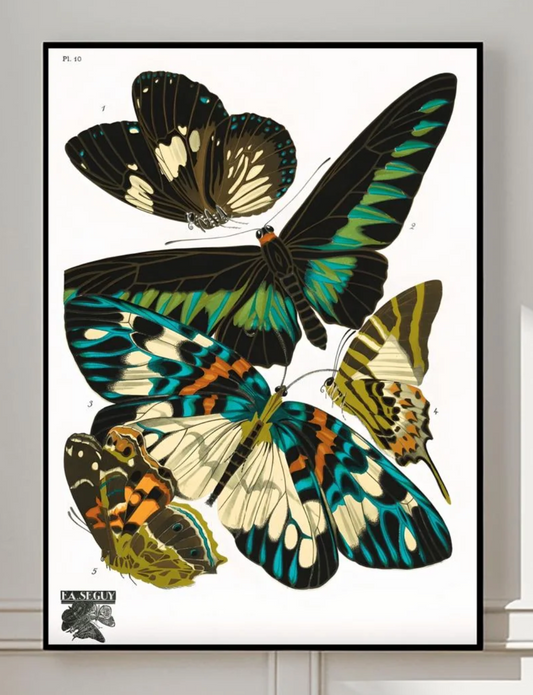 Émile-Allain Séguy Butterflies Print, Vintage Art Deco Entomology Poster, Colorful Botanical Wall Art