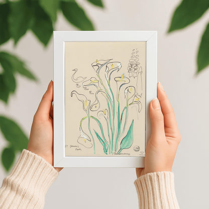 A vertical ink and watercolor sketch by Ludwig Bemelmans titled "St James's Park". A large bouquet of white calla lilies with light green stems and yellow centers dominates the center. To the left, a minimalist ink sketch of a swan and four ducklings floats by. In the upper right corner, a simple line drawing shows the twelve little girls in hats. Signed "Bemelmans" at the bottom with studio markings in the bottom right corner.