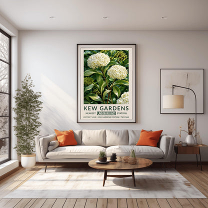 A vertical retro London Underground travel poster for Kew Gardens on a wide cream border. The top image shows a close-up, detailed botanical illustration of two large, round white hydrangea flower clusters surrounded by long, variegated green and white leaves and small green berries. The bottom cream border features the text "KEW GARDENS" in dark green, followed by "NEAREST UNDERGROUND STATION" flanking an authentic boxed Underground logo