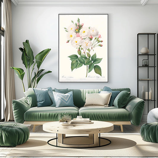 Botanical Rose Print | Vintage Rosa Norfolkiana Illustration | White Flower Wall Art | Pink Rosebuds Decor | Cottagecore Garden Gift